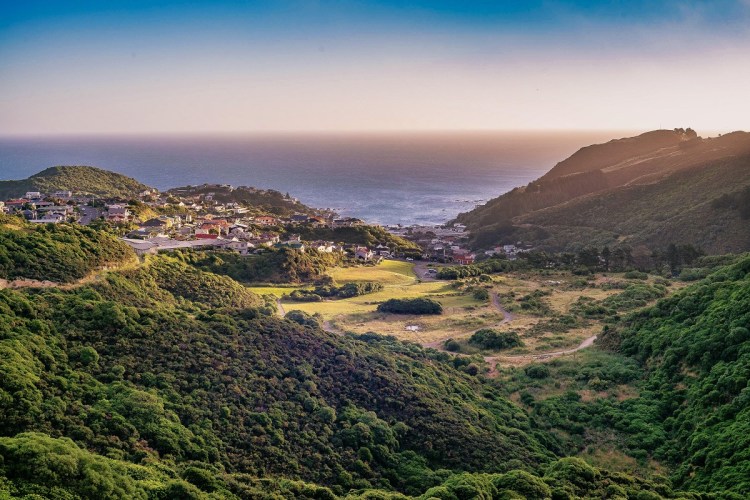 View of Tawatawa Reserve